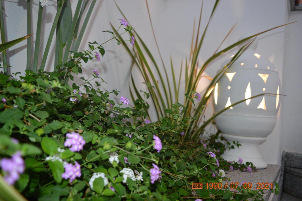 Bed And Breakfast Villa Tota 卡坦扎罗 外观 照片